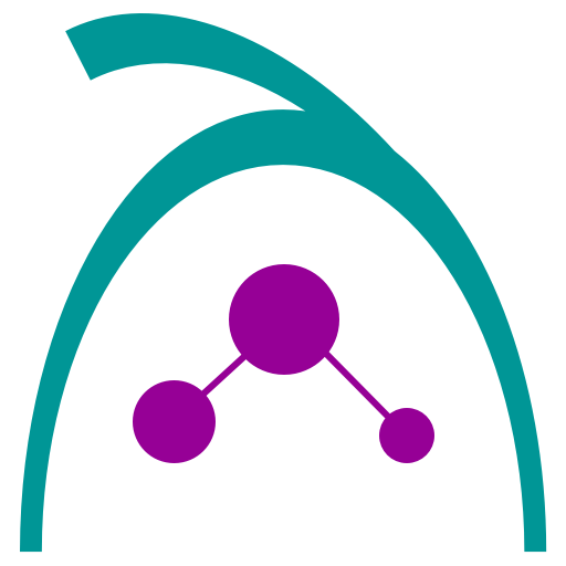 Faisal Hasnain Logo